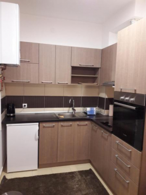 Отель Apartment Dana  Баня-Ковиляча
